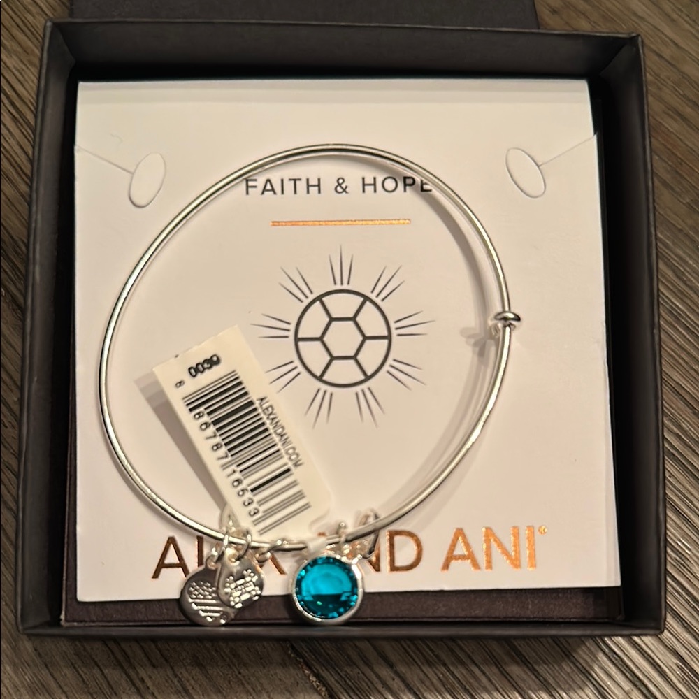 Alex and Ani Silver Bracelet with Blue Charm